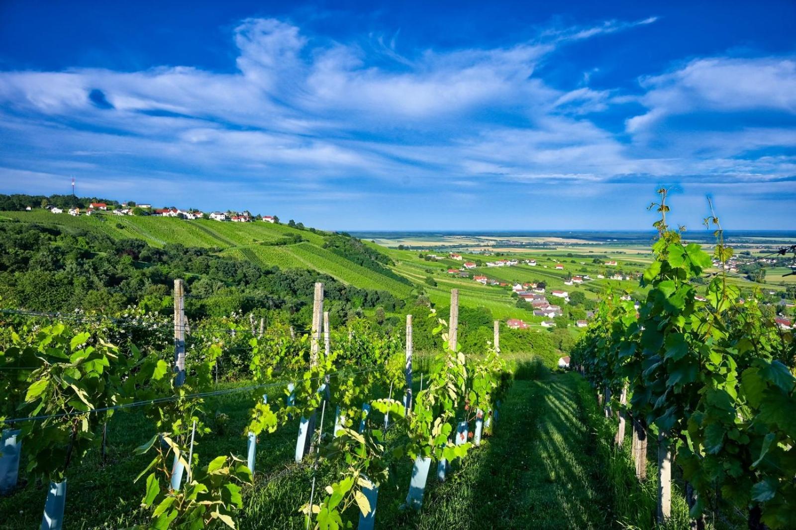 Kellerstoeckl Am Berg Villa Csejke Kültér fotó